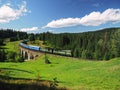 Carpatian mountains train summer landscapes Royalty Free Stock Photo