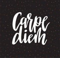 Carpe diem hand written lettering positive quote inspirational latin phrase on the confetti background. Vector illustration.