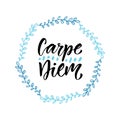 Carpe diem. Handwritten latin quote. Modern calligraphy vector design for t-shirts, poster and greeting cards