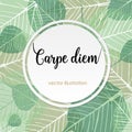 Carpe diem. Latin aphorism