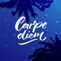 Carpe diem - latin phrase means seize the day, enjoy the moment. Inspiration quote brush calligraphy handwritten on