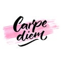 Carpe diem - latin phrase means seize the day, enjoy the moment. Inspiration quote brush calligraphy handwritten on pink