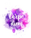 Carpe diem lettering Royalty Free Stock Photo