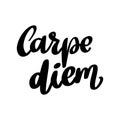 Carpe diem. Lettering phrase isolated on white Royalty Free Stock Photo