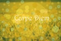 Carpe Diem