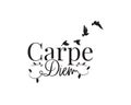 Carpe diem, Seize the day, vector. Wording design, lettering. Wall decals isolated on white background