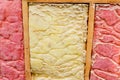 Carpenter ant nest pest glasswool isolation damage