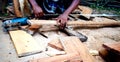 Carpenter ccaucasian man using measuring tape looking wood size at workspace. craftsman profession in wood factory Royalty Free Stock Photo