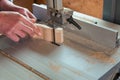 Carpenter cutting a curved piece of beech wood Royalty Free Stock Photo