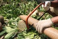 Carpenter cutting wood with saw. Craftsman working with hand saw