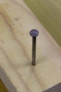 Carpenter nail in a wooden board. Close-up photo focused on the head of a nail.