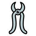 Carpenter pliers icon outline vector. Carpentry tool