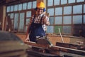 Carpenter posing on his workplace in carpentry workshop - Happy Carpenter