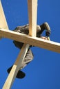 Carpenter on roof