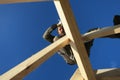 Carpenter on roof