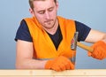 Carpenter, woodworker on concentrated face hammering nail into wooden board. Man, handyman in bright vest and protective Royalty Free Stock Photo