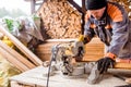 Carpenter working. Man cutting plank by circular saw. Royalty Free Stock Photo