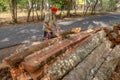 Carpenter works with hand tool a tree trunk. Worker on island of Bali sculpts a trough in a wooden beam. Heavy manual job