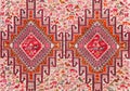 Carpet with animalistic ornament Royalty Free Stock Photo