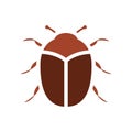 Carpet beetle icon