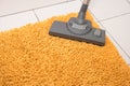 Carpet cleaning in the bathroom. Royalty Free Stock Photo