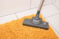 Carpet cleaning from dust. Royalty Free Stock Photo