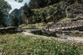 Carpet of colorful wildflowers and wooden bridge. Samaria Gorge, Crete