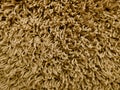 Brown, beige, carpet flooring, fluffy wool, texture, background Royalty Free Stock Photo