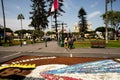 carpet of flowers in the street of the city of surco peru