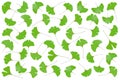Carpet of gingko leaves isolated on a white a background Royalty Free Stock Photo