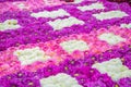 Carpet made of real Dahlia flowers, laid out in pattern