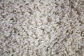 Carpet texture Royalty Free Stock Photo