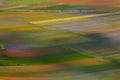 Carpet of wild flowers in Castelluccio di Norcia Royalty Free Stock Photo