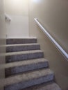Carpeted stairs in home