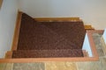 Carpeted steps with wood trim