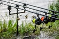 Carpfishing session at the Lake.Carp Angling scenic landscape overlooking lake at Dawn.Fishing adventures, carp fishing