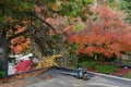 Carport rooftop, preparing for fall cleaning with leaf blower