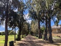 Carraige Path lined with trees in Kapiolani Park Royalty Free Stock Photo