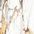 Carrara statuarietto white marble with golden luxury effect.