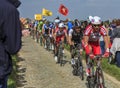 The Peloton- Paris Roubaix 2014 Royalty Free Stock Photo