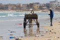 Carriage on the beach