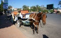 Carriage ( cart) for travel (tour)