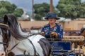 Carriage Driving Competition