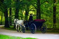 Carriage in the English Garden, autumn, Munich Royalty Free Stock Photo