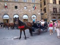 Carriage, Florence, Italy Royalty Free Stock Photo