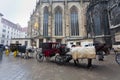 Carriage in front of Cathedral Saint Stefan in Vienna