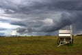 The carriage on the grassland