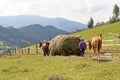 Carriage with hay on a background of mountains Royalty Free Stock Photo