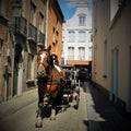 Carriage with a horse in Brugge