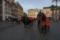 Carriage horse in Piazza di Spagna